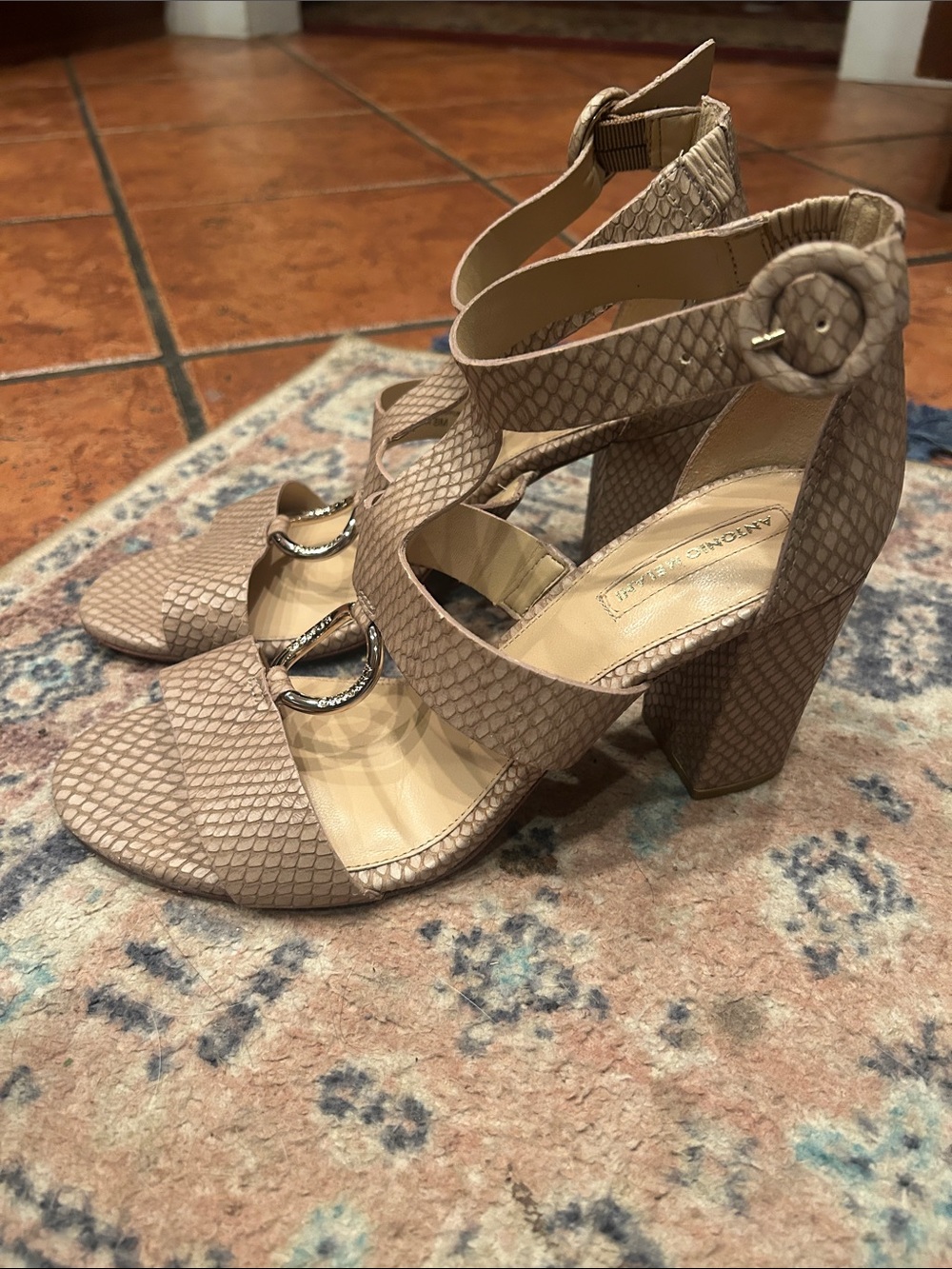 Antonio Melani Neutral Taupe Snake-Embossed Block Heel Sandals - Collection